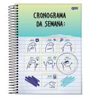 Caderno Universitario 10x1 160 Fls. C.D. Jandaia - Flork 6