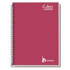 Caderno Universitário 10x1 200 fls C.D. Tamoio - Colors Vinho