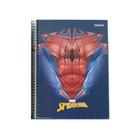 Caderno Universitário Jandaia Spider-Man 1 Matéria 80 Folhas - Diversas Capas