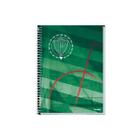 Caderno Universitário Palmeiras 20 Matéria 320fls - Credeal