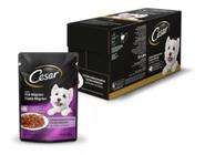 Caixa Alimento Úmido Cães Cesar Adultos Filé Mignon 85g 20 saches