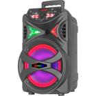 Caixa Amplificada 250W ACA 255 HIT Bivolt Amvox