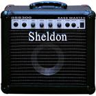 Caixa Amplificada Sheldon Bss300 30W 110/220V Contrabaixo