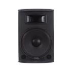 Caixa Ativa Donner Saga Sgx 15 Tweeter Piezo 300 Wrms