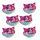 Caixa Com 12 Unid Whiskas Temptations Anti Bola De Pelo 40G