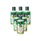 Caixa com 6 unidades de Shampoo Maria Natureza Nutrição Extraordinária Salon Line 250ml