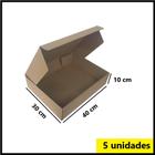 Caixa De Papelão Parda Para Correio Sedex/PAC 40x30x10cm Kit 5