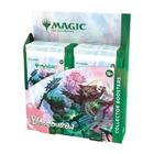 Caixa de reforço para colecionador Magic The Gathering Bloomburrow