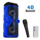 Caixa De Som Amplificada Bluetooth Pendrive FM Com Microfone Karaoke Portátil e Controle - DS13