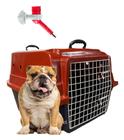 Caixa De Transporte Reforçada Pet N4 - Cães Cachorros Grandes