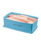 Caixa Ideal Aqui tem Peixe 1,4L - Tupperware