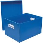 Caixa Organizadora THE BEST BOX G 437X310X240MM Azul - Polibras