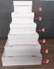 Caixa papelão para bolos tampa e fundo N.6 ( 49 x 40,5 x 12 ) - 25 Unidades