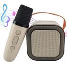 Caixa Som Bluetooth Karaoke Microfone Musica Portatil Sem Fio Efeito Voz Luz Led Alto Falante Festa Comemoraçao Audio - Leva pro pet