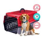 Caixa transporte 1 de cães gatos cachorros animais porte pequeno ou medio caixinha resistente segura