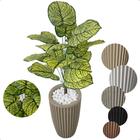 Caladium Bulbo Artificial Tinhorão Grande Vaso Decoração