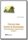 Cálculo Para Cursos de Engenharia: Uma Abordagem Computacional - Vol.1 - CIENCIA MODERNA