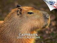 Calendário de parede MegaCalendars Capybara 2024 2025 mensal