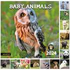 Calendário de parede windrio 2024 Baby Animals de novembro a dezembro