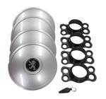 Calotas Miollo Peugeot 206 Aro 14 2001/08 Tradicional Prata
