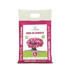 Calterra Substrato para Rosa do Deserto - 3kg Pronto para Uso