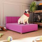 Cama Box Pet Retriever 80cm Pink - Madeira Maciça