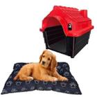 Cama Pet Quadrada Fibra Acolchoada + Casinha Dog Pet Shop N3
