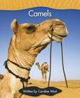 Camels - Springboard Into Comprehension - Macmillan - ELT