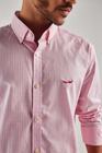 Camisa Canoa Manga Longa Xadrez Button-Down Rosa/Branco