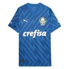 Camisa de goleiro puma palmeiras i 24/25 masculina -jogador