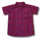 Camisa Infantil Festa Junina Xadrez Vermelho C/ Azul Caipira