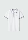 Camisa Polo Básica Infantil Menino Em Algodão