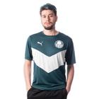 Camisa Puma Palmeiras Pré Jogo 2022