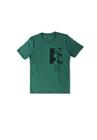 Camiseta Acostamento Coordinates Verde Broto