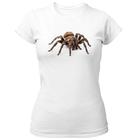 Camiseta Baby Look Aranha Caranguejeira