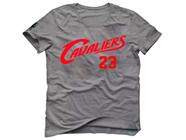 Camiseta Basquete King James Cleveland Cavalier LakerNation