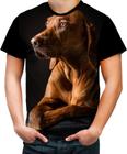 Camiseta Colorida Olhar Canino Cão Cachorro Doguíneo 2