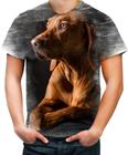 Camiseta Desgaste Olhar Canino Cão Cachorro Doguíneo 2