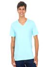 Camiseta Masculina Bordado Cinza Polo Wear Azul Claro