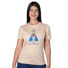 Camiseta Tshirt Babylook Feminina Nossa Senhora Aparecida 03 Romaria Precessão Básica 100% Algodão