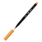 Caneta CIS Brush Pen Aquarelável