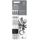 Caneta Nanquim Fineliner Winsor & Newton 3 Pontas Grossas