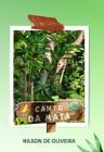 Canto da Mata -