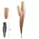 CAPIM COM PLUMA X2 (CHA OUTONO) 85cm