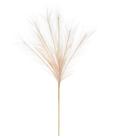 CAPIM DOS PAMPAS PLUMA X7 SALMON 70cm - Flor Arte