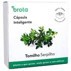 Cápsula de Solo Inteligente de Tomilho Serpilho - Substrato, Nutrientes e Sementes. Refil para Horta Inteligente. - CAP-TOM-V01 - BROTA