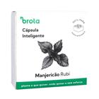 Capsula Manjericão Rubi para Horta Autoirrigavel Brota