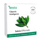 Capsula Sálvia para Horta Autoirrigavel Brota