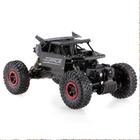 Carrinho Controle Remoto 4x4 Off Road Flytec