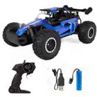 Carrinho Controle Remoto Led Off-Road Drift Velocidade 20kmh